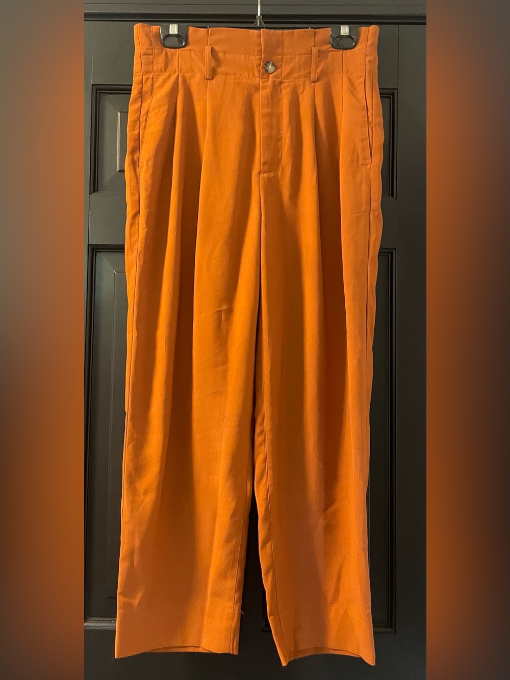 Madewell Women’s Burnt Orange Flat Front Pleated Dress Pants